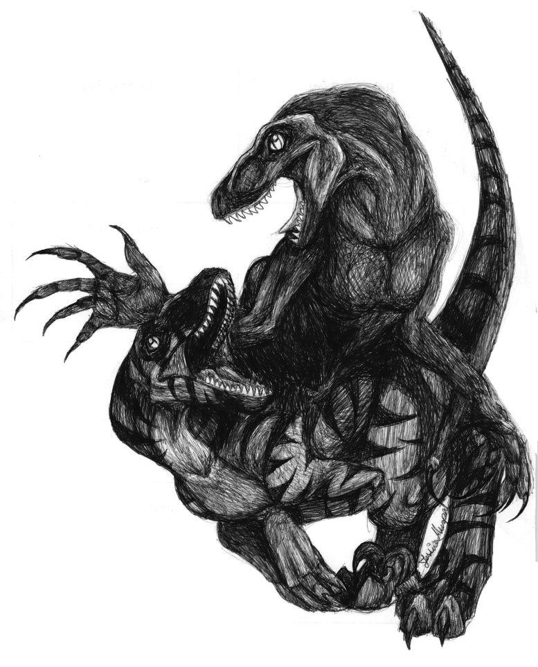 Raptor squabble
