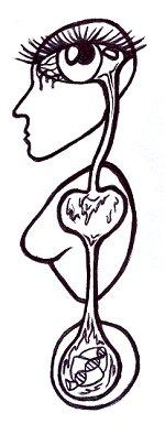 Fundamental Faculties