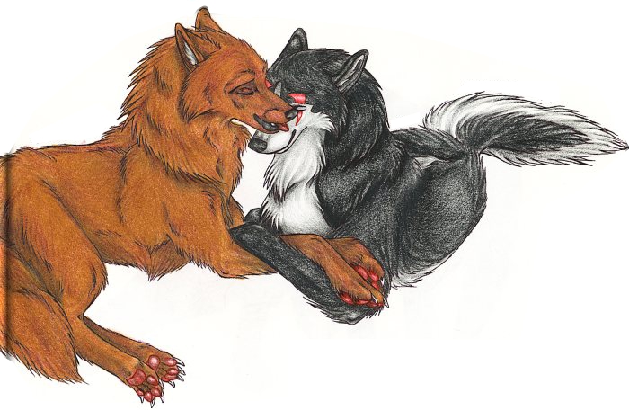 Wolves