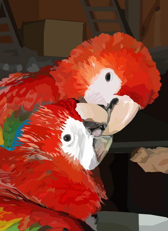 Vector of two Scarlet Macaws