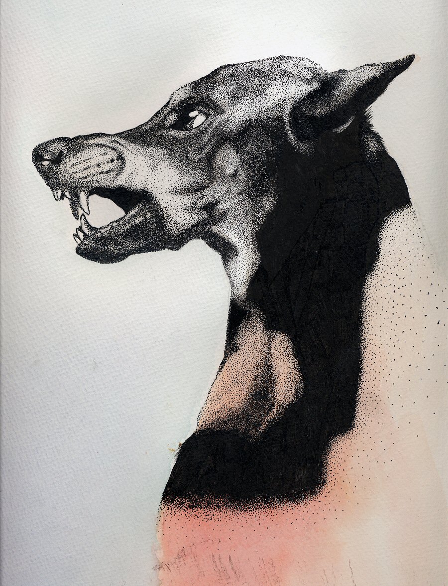 Doberman stipple