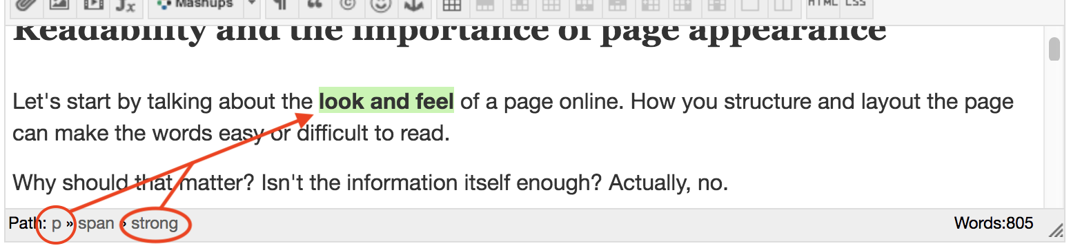 Screen shot of paragraph and strong indicators in eCampus text editor.