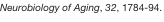 shapeimage_1_link_13
