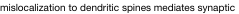 shapeimage_1_link_3