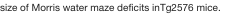 shapeimage_1_link_7