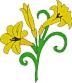 lilly