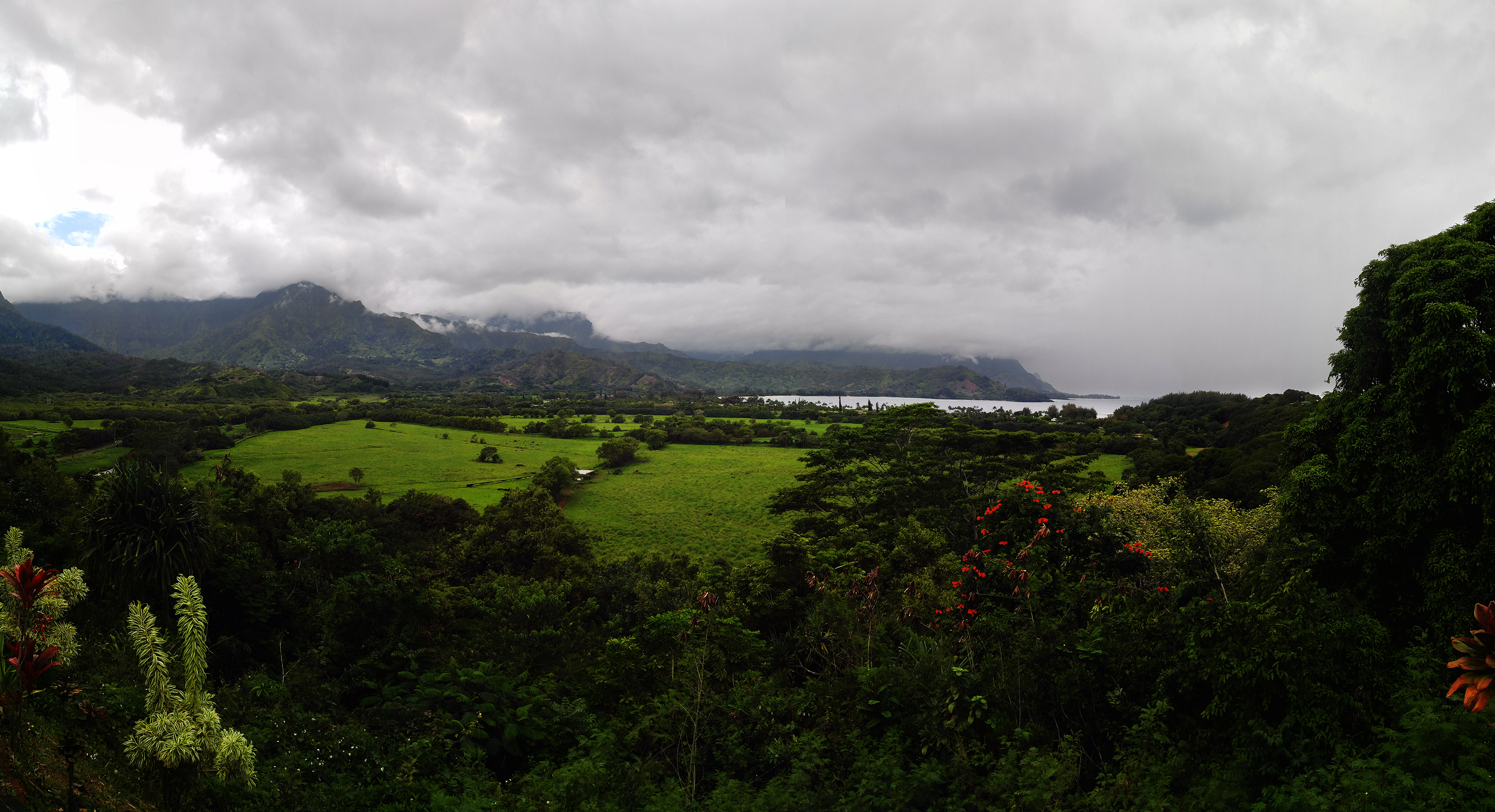 A view from the Pu'u o Kila Lookout.