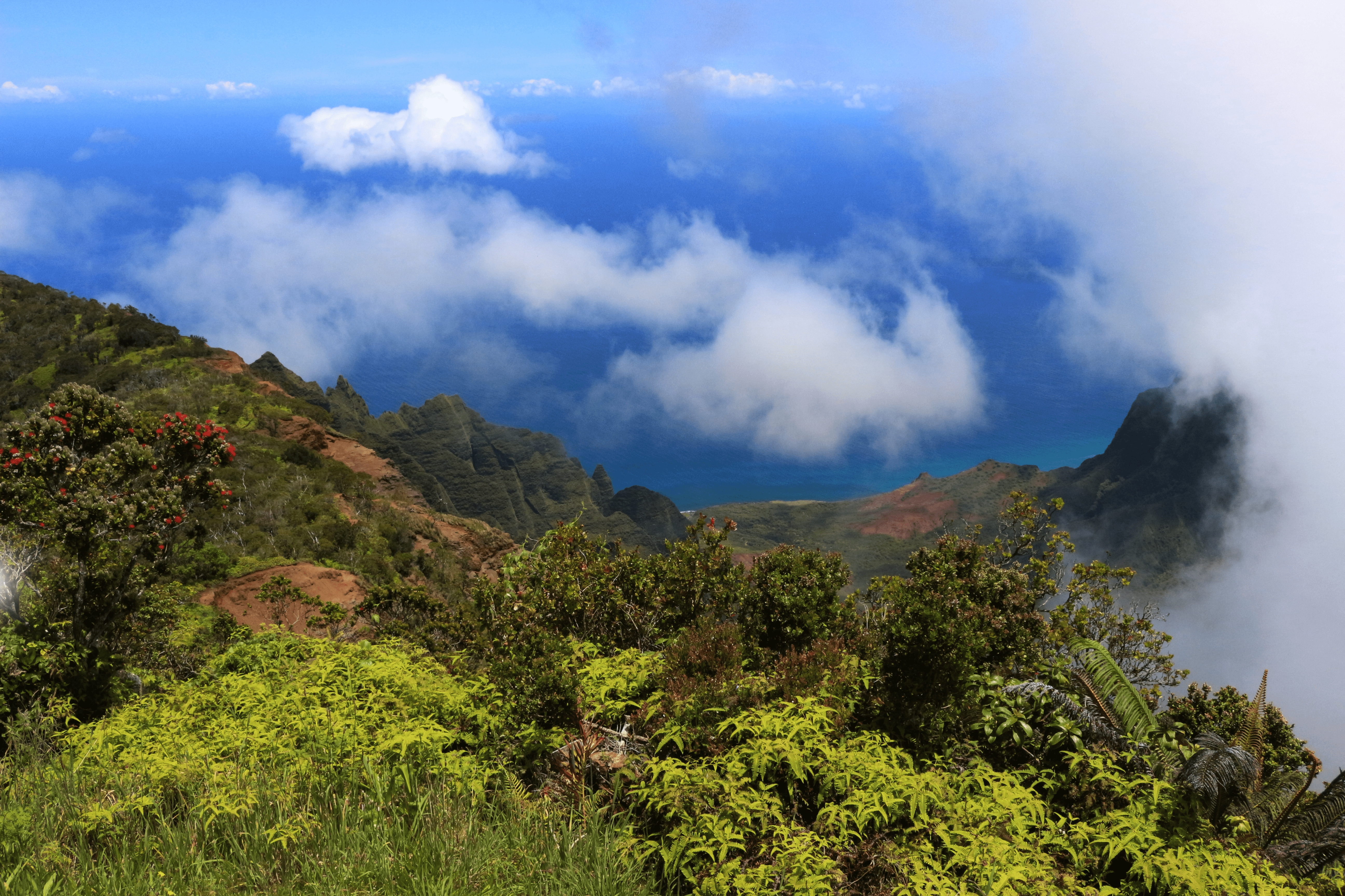 A view of Kalalau Valley from the Pu'u o Kila Lookout