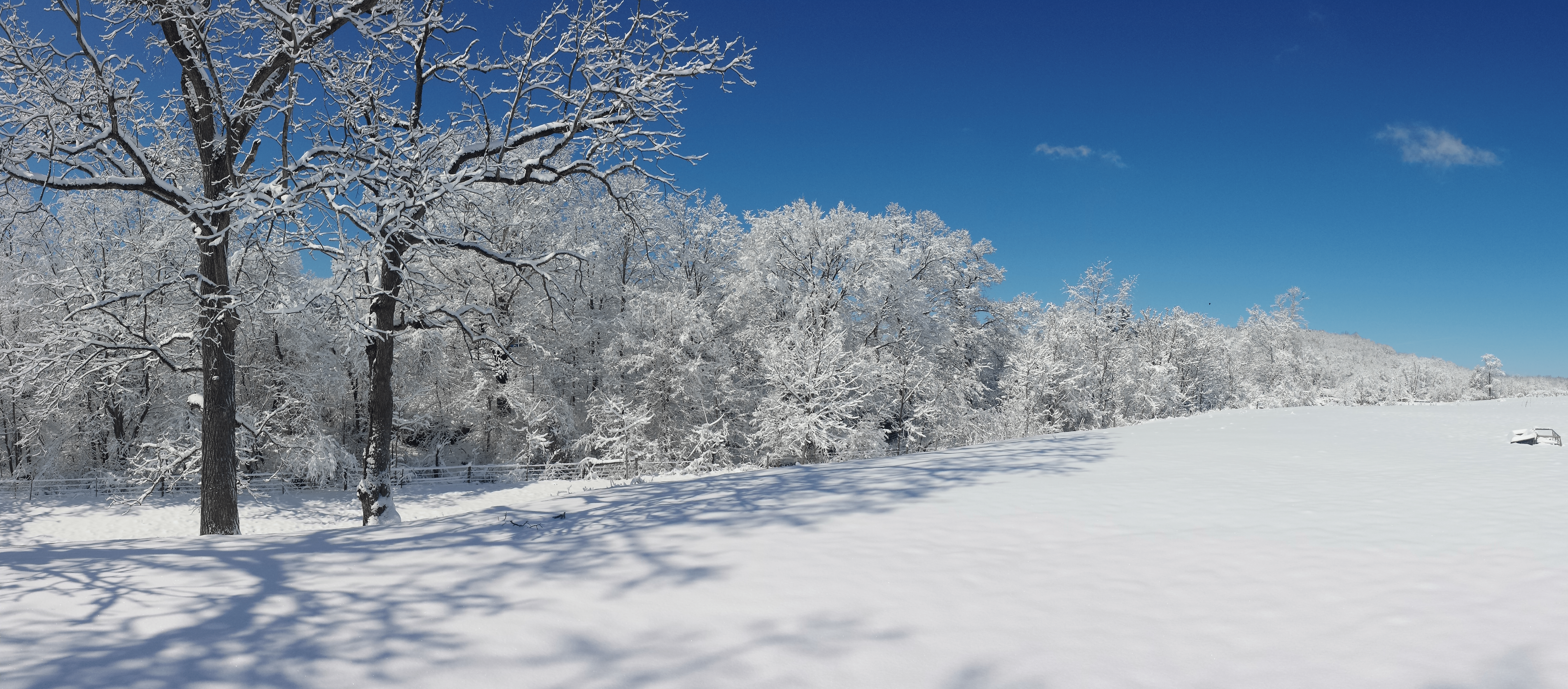 A panorama of a snow-covered pasture.