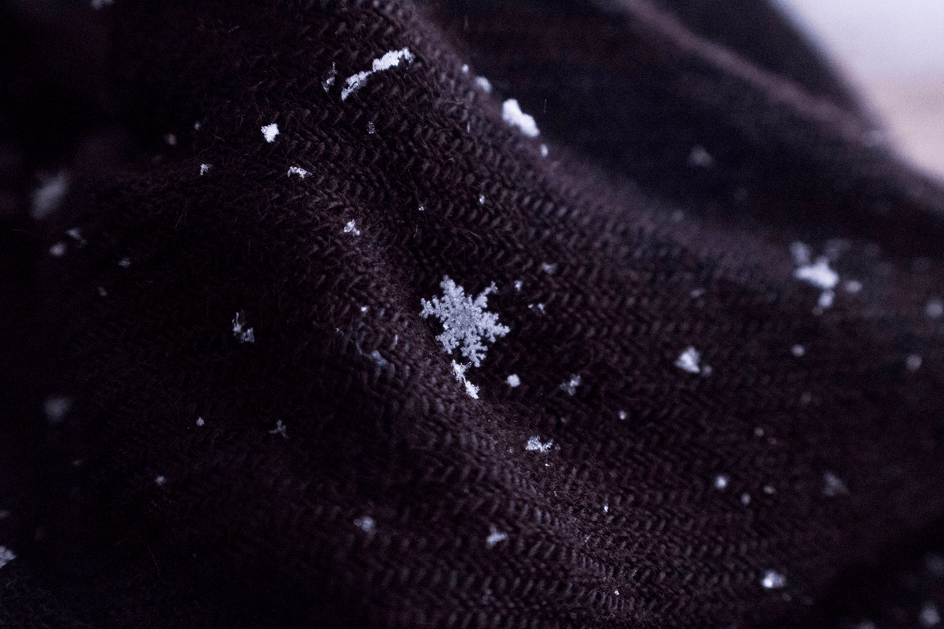 An image of a single snowflake laying on dark cloth.