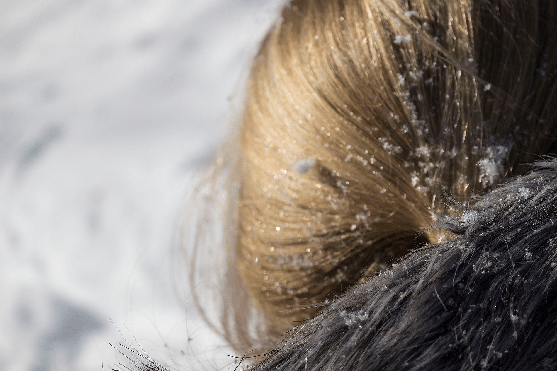 An image of snowflakes lightly scattered throughout a girl's hair.