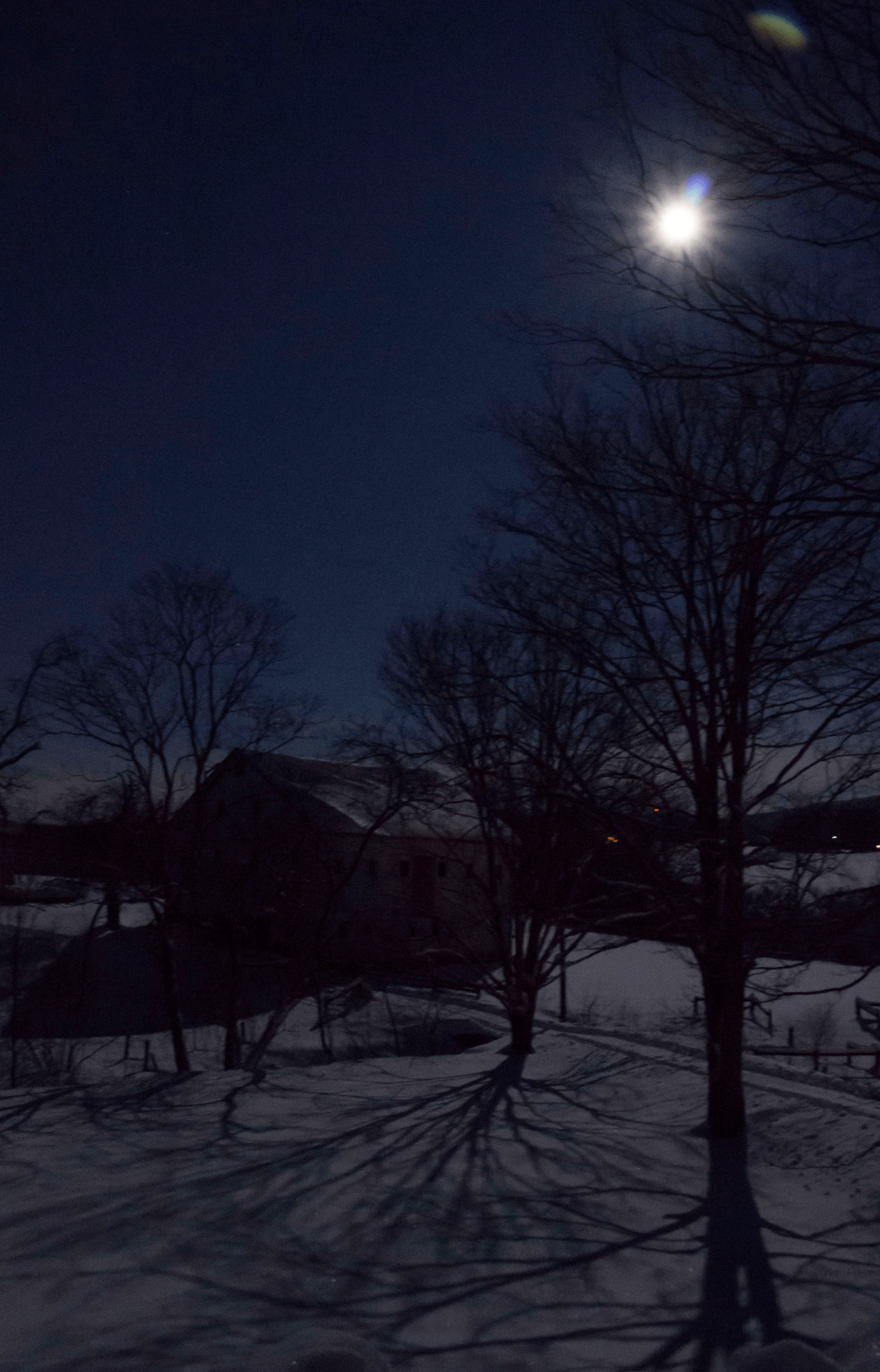 An image of a full moon shining from behind a tree and barn, casting shadows on the snow.