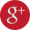 Google+